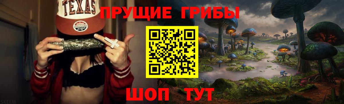 Галлюциногенные грибы прущие грибы  Вход с VPN  Дзержинск 